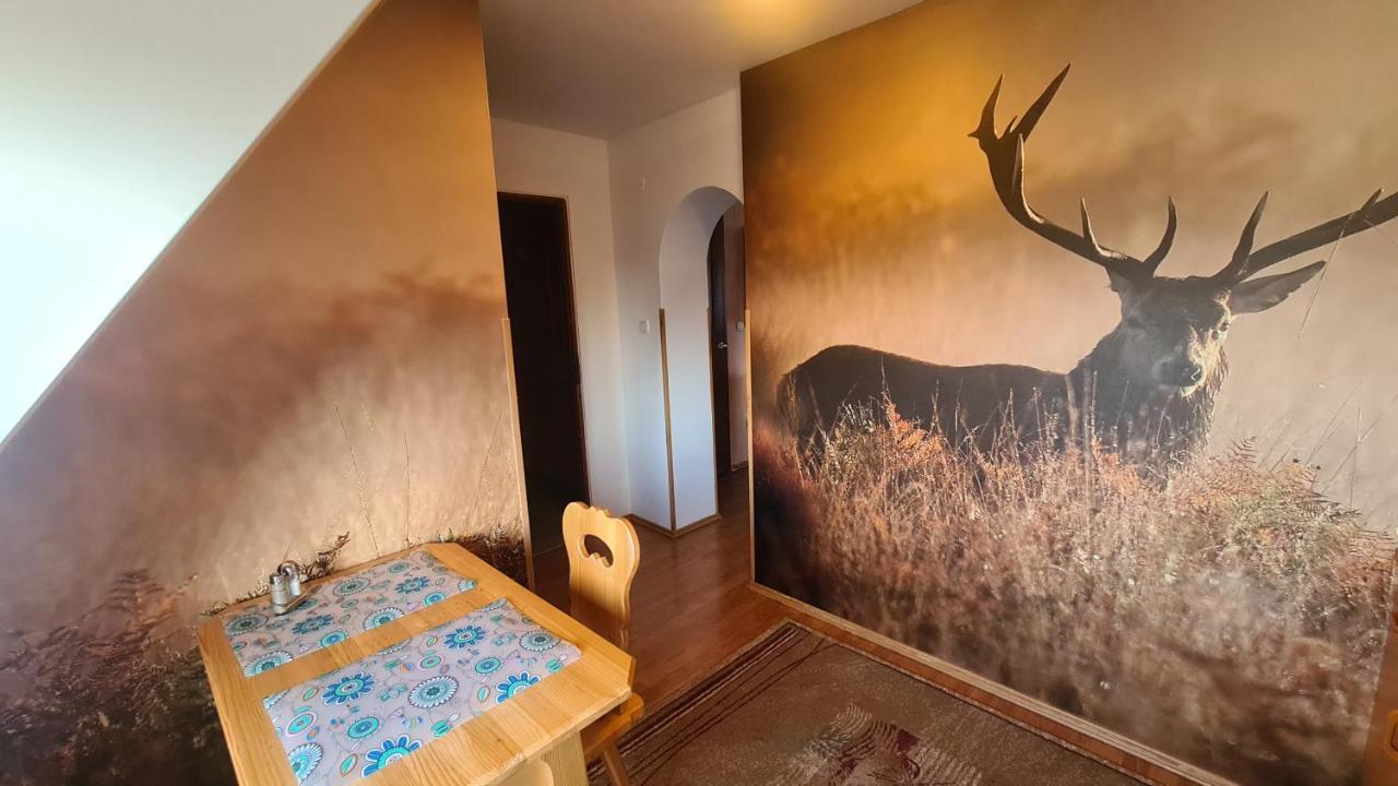 Wynajem Pokoi Magdalena Apartment Zakopane Exterior foto